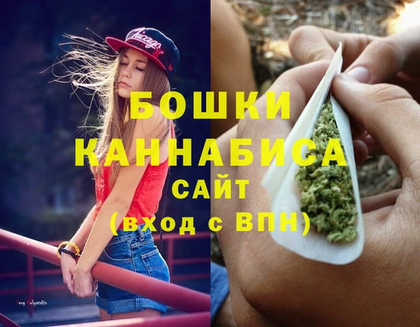 сатива Новокубанск