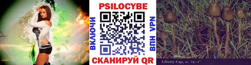 Купить закладки  Володарск  Галлюциногенные грибы MAGIC MUSHROOMS 